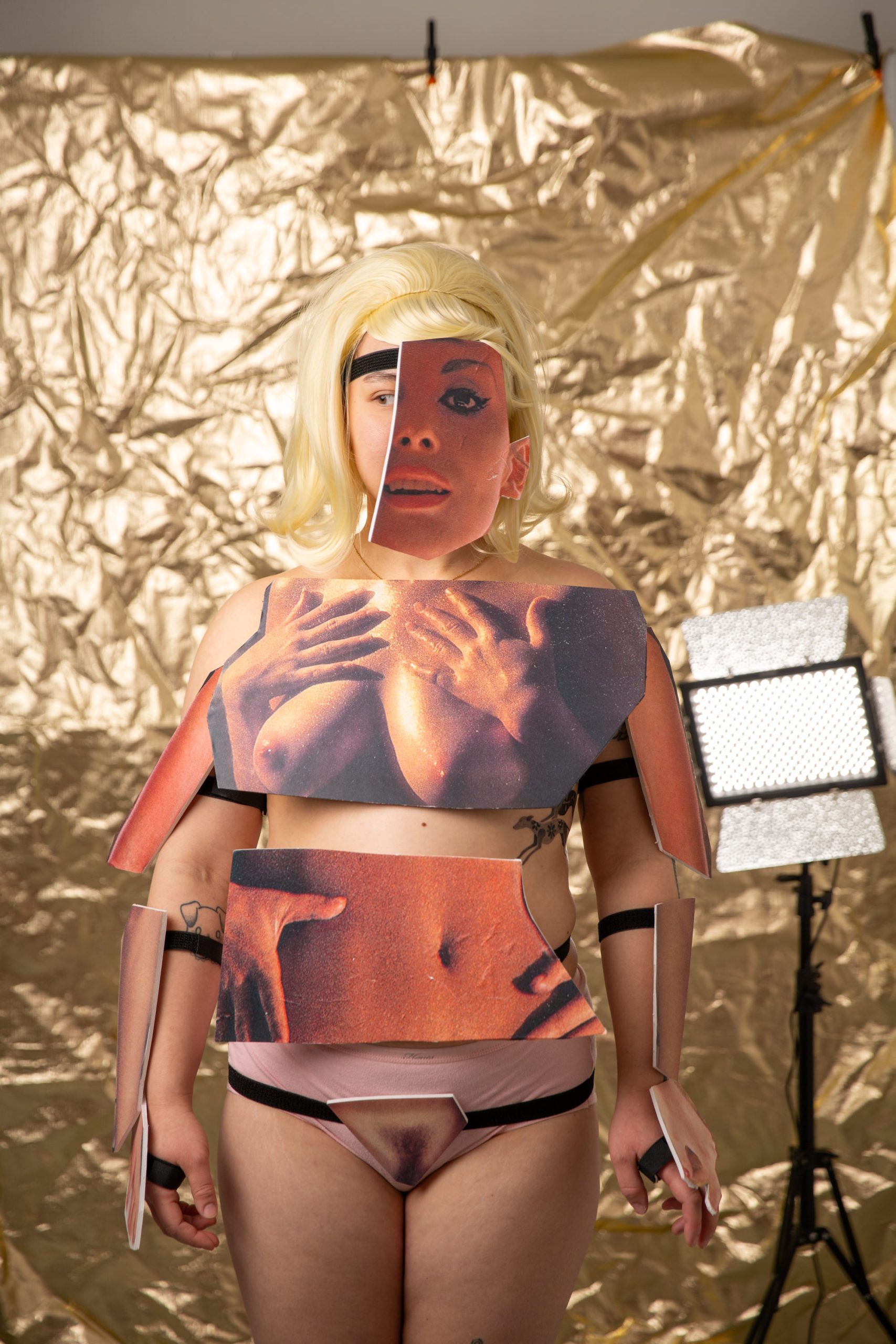 Woman-nude-panel-web-4